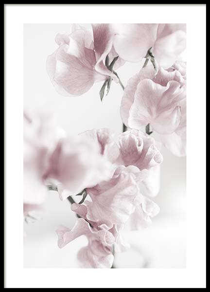 Summer Dream No1 Plakat i gruppen Plakater / Fotokunst hos Desenio AB (10405)