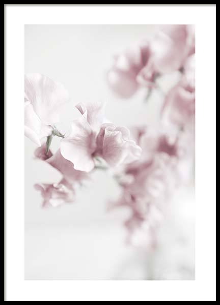 Summer Dream No2 Plakat i gruppen Plakater / Fotokunst hos Desenio AB (10406)