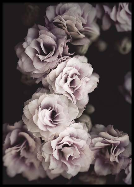 Bouquet De Fleurs Plakat i gruppen Plakater / Fotokunst hos Desenio AB (10433)