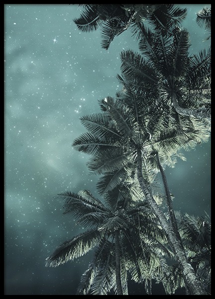 Tropical Night No3 Plakat i gruppen Plakater / Naturmotiv hos Desenio AB (10647)