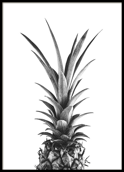 Pineapple B&W Plakat i gruppen Plakater / Sort-hvid hos Desenio AB (10658)