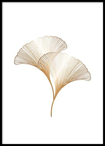 Ginkgo Leaves Gold Plakat i gruppen Plakater / Botanik hos Desenio AB (11280)