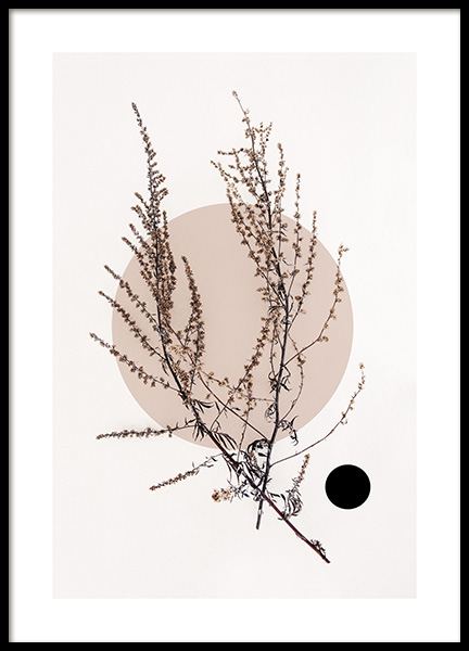 Dried Leaf No4 Plakat i gruppen Plakater / Botanik hos Desenio AB (11805)