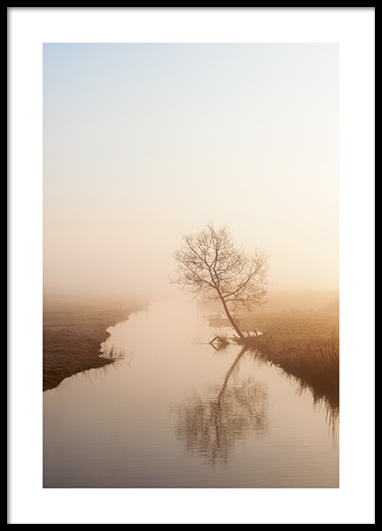 Misty Morning Light Plakat i gruppen Plakater / Fotokunst hos Desenio AB (14909)