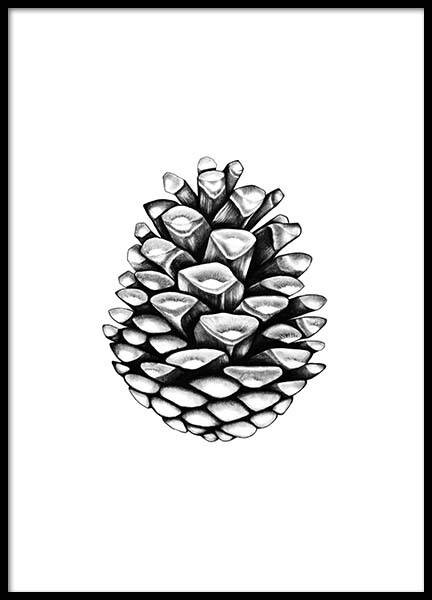 Pinecone Plakat i gruppen Plakater / Sort-hvid hos Desenio AB (2274)