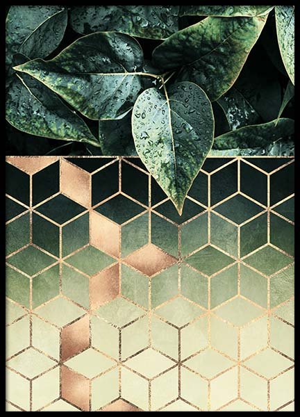 Leaves And Cubes Plakat i gruppen Plakater / Kunstplakater hos Desenio AB (2813)