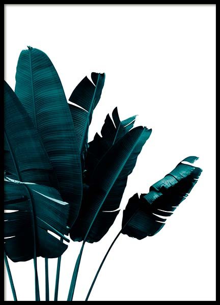 Botanisk plakat med plante | Plakat med fotokunst | Desenio