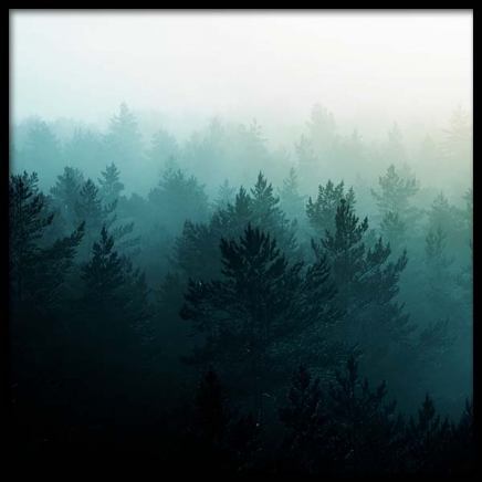 View Of Misty Forest Plakat i gruppen Plakater / Naturmotiv hos Desenio AB (3567)