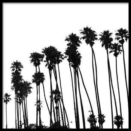 Venice Beach Palm Trees No1 Plakat i gruppen Plakater / Sort-hvid hos Desenio AB (3776)