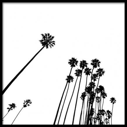 Venice Beach Palm Trees No2 Plakat i gruppen Plakater / Sort-hvid hos Desenio AB (3777)