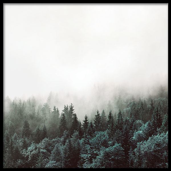 Tree Tops, Plakater i gruppen Plakater / Naturmotiv hos Desenio AB (8587)