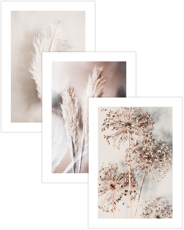 – Botaniske fotografier i beige giver en rolig følelse