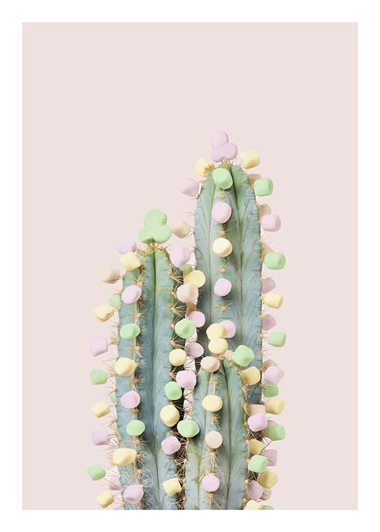 Candy Cactus Plakat