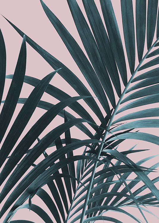 Pastel Palm No1 Plakat