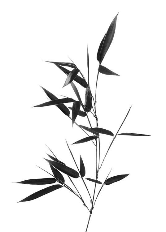 Bamboo Twig Plakat / Sort-hvid hos Desenio AB (10390)