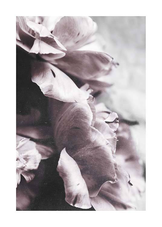 Touch Of Spring Plakat / Fotokunst hos Desenio AB (10416)