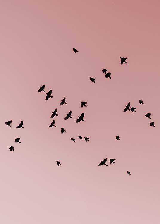 Pink Bird Sky Plakat