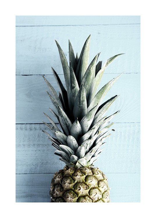 Pineapple Top Plakat