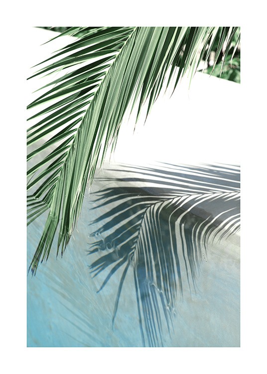 Poolside Palm Reflection Plakat / Fotokunst hos Desenio AB (10666)