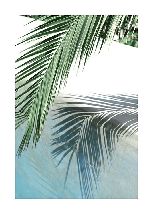 Poolside Palm Reflection Plakat