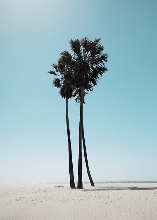 LA Beach Palms Plakat / Tropiske plakater hos Desenio AB (10784)