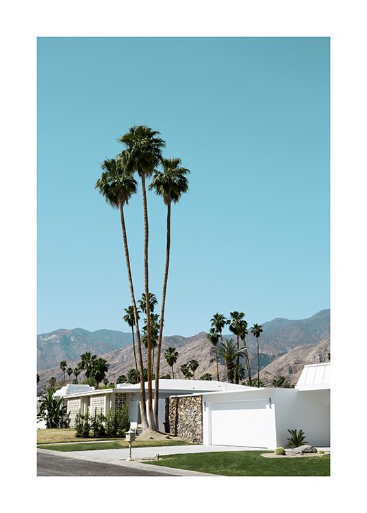 Street of Palm Springs Plakat / 70x100 cm hos Desenio AB (10790)