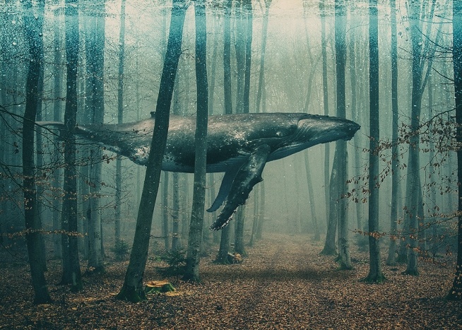  – Kunstplakat med en hval i en skov, der svømmer mellem træerne