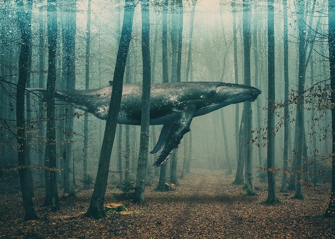 Whale in Forest Plakat
