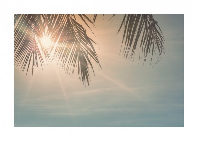 Sunset Palm Leaves Plakat