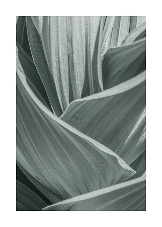 Abstract Green Leaves Plakat / Fotokunst hos Desenio AB (10982)
