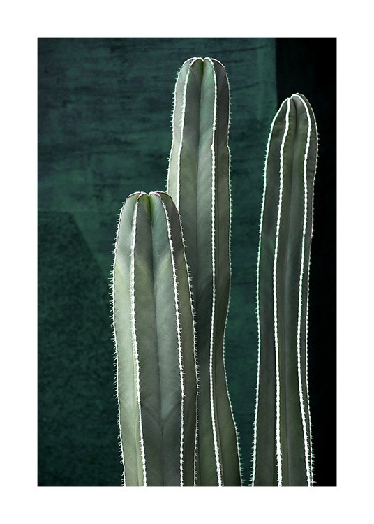 Dark Green Cactus Plakat / Fotokunst hos Desenio AB (10983)