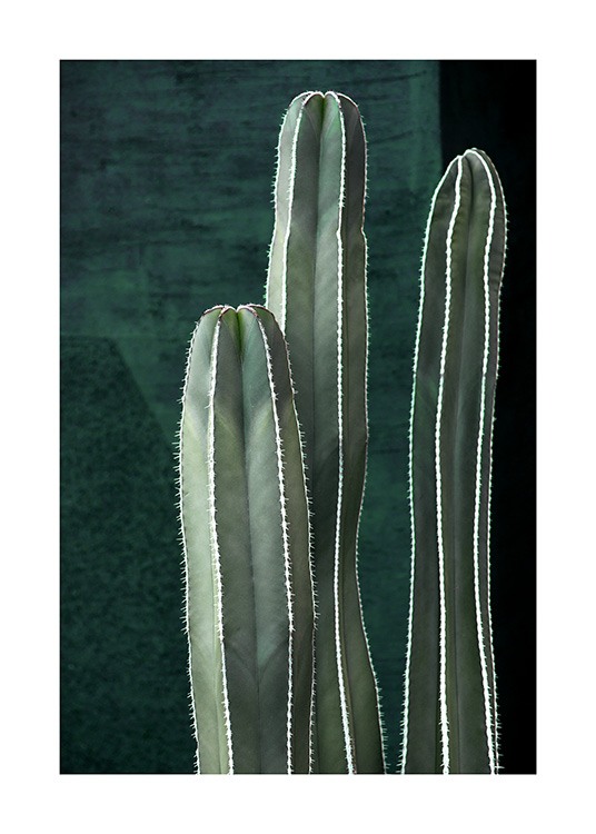 Dark Green Cactus Plakat