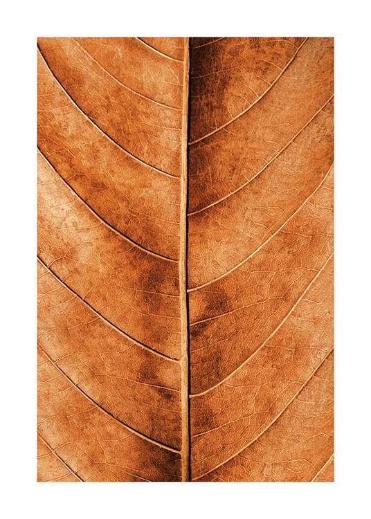Autumn Leaf Plakat / Naturmotiv hos Desenio AB (11575)