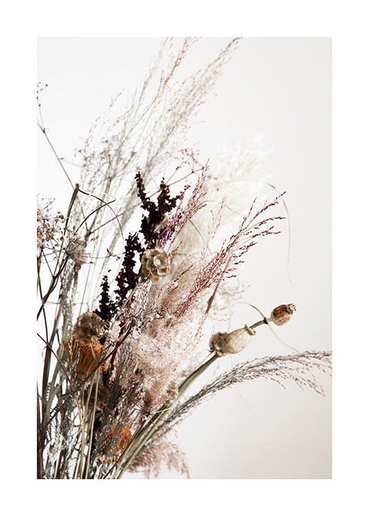  – Fotografi af tørrede blomster og tørret græs i en buket mod en lysegrå baggrund