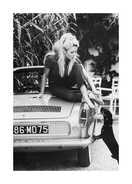  – Sort-hvidt foto af Brigitte Bardot, der rækker hånden ud mod en hund oppe fra en bil