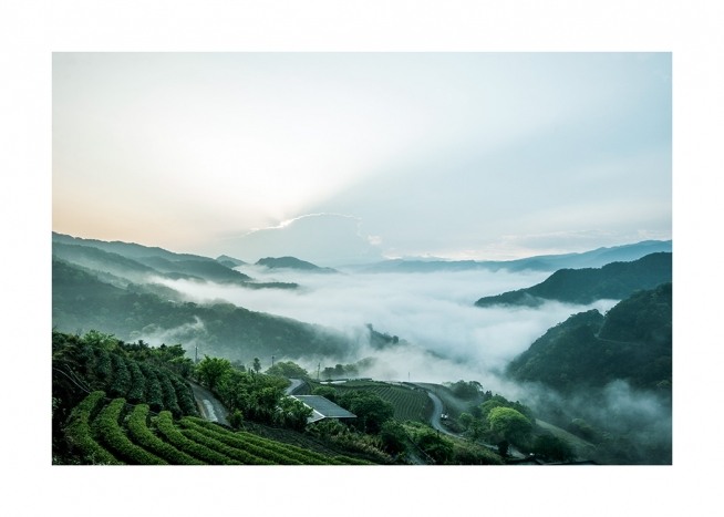 Mountain in Taiwan Plakat