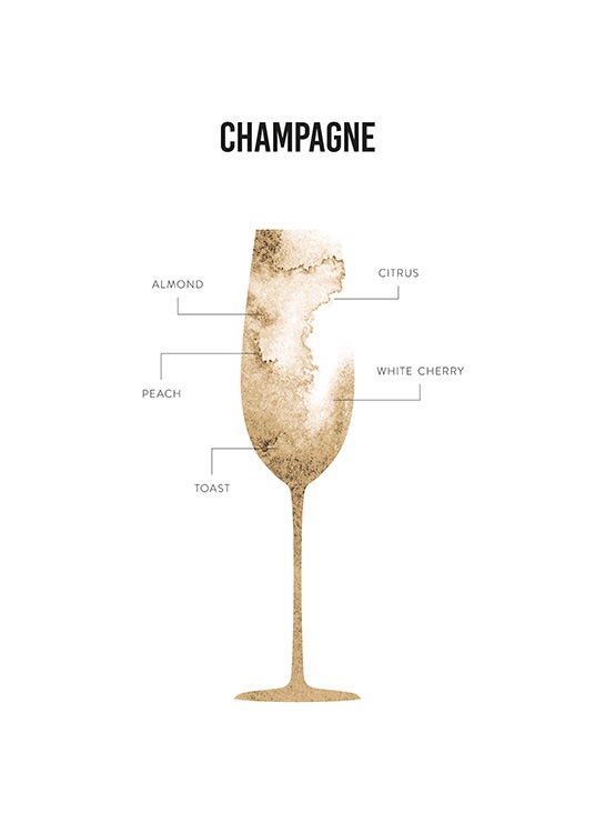 Champagne Anatomy Plakat