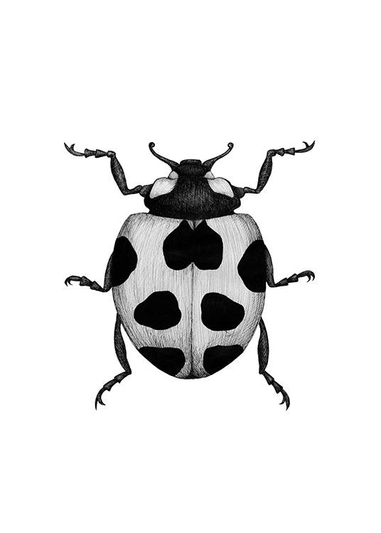 Ladybird Drawing Plakat