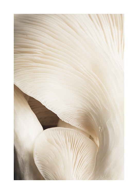 Beige Mushrooms Plakat / Fotokunst hos Desenio AB (12397)