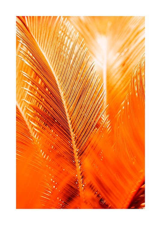 Orange and Gold Palm Plakat