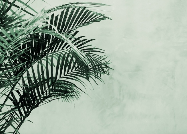 Palm Tree Wall Plakat / Botanik hos Desenio AB (12412)