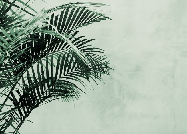 Palm Tree Wall Plakat