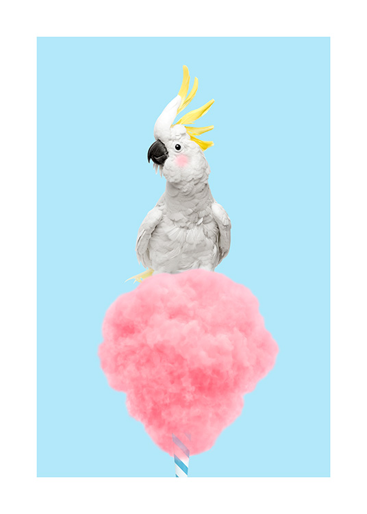 Cotton Candy Cockatoo Plakat / Fugle hos Desenio AB (12478)