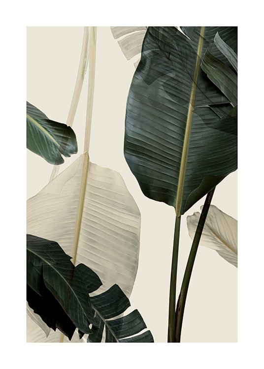 Banana Leaf Shades No1 Plakat / Fotokunst hos Desenio AB (12585)