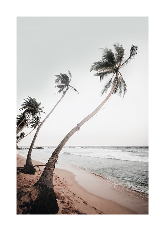  – Fotografi af en række palmer, der svajer i vinden, på en strand med et hav i baggrunden