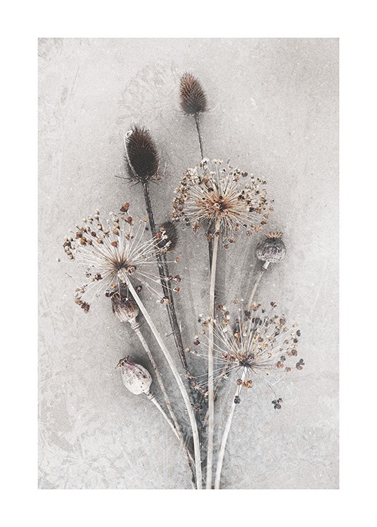 Dried Bunch of Flowers Plakat
