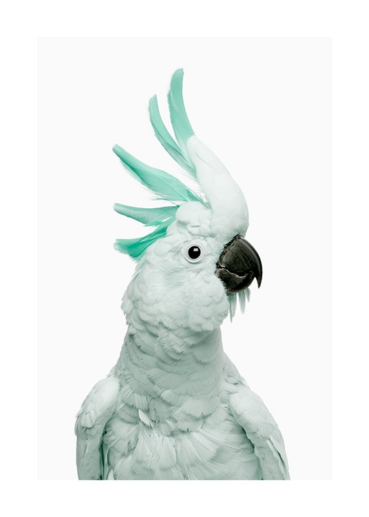 Mint Cockatoo Plakat
