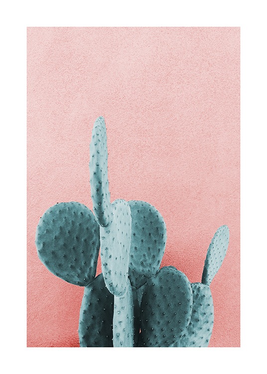 Mint Cactus Plakat / Fotokunst hos Desenio AB (12852)