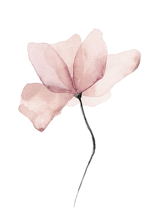  – Akvarel med en lyserød blomst på hvid baggrund