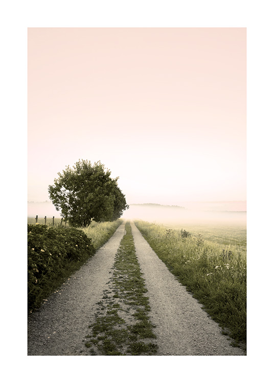 Fotografi af lyserød himmel og diset vej omgivet af grønt land